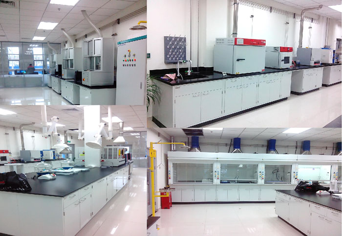 朗盛化学常州项目